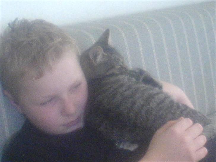 Huskat mille - ih hvor jeg ligger godt billede 11