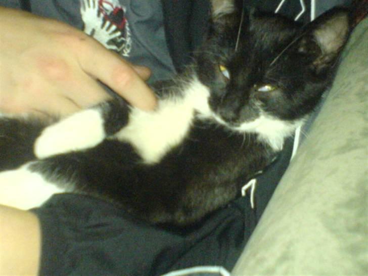 Huskat mulle - uhh det dejligt billede 11