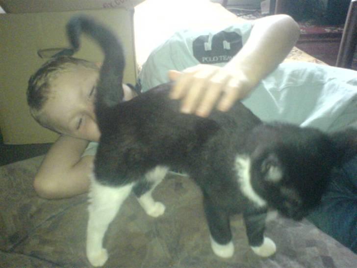 Huskat mulle - hvor er jeg kælen billede 18