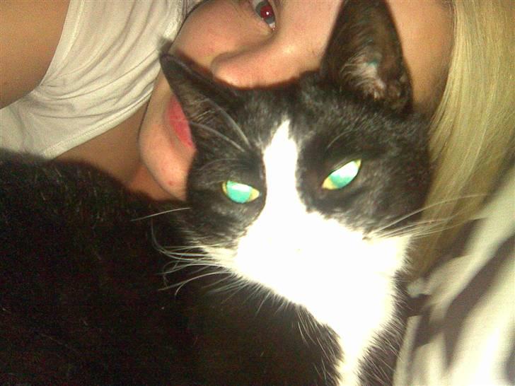 Huskat Mini - Hygger med mor :) billede 2