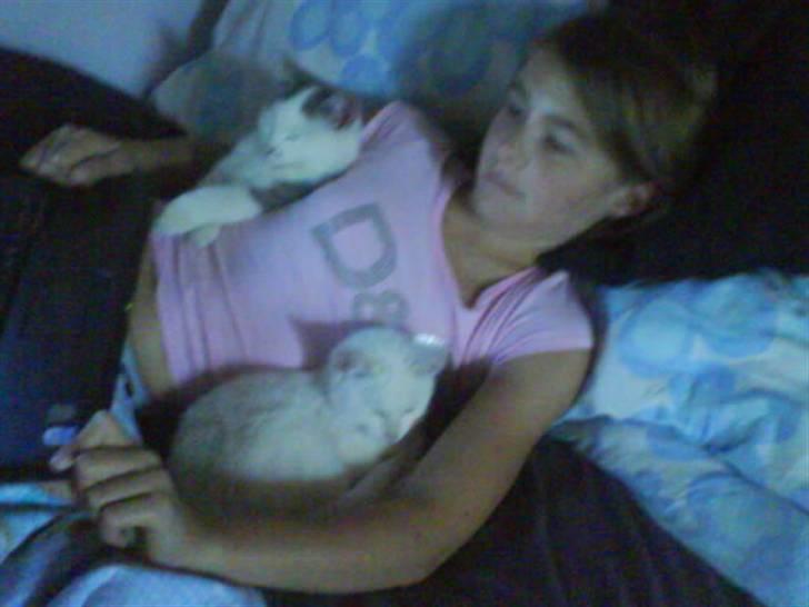 Blanding af racer Snefnug - Pige Anna, Snefnug og hans bror Snebold billede 3