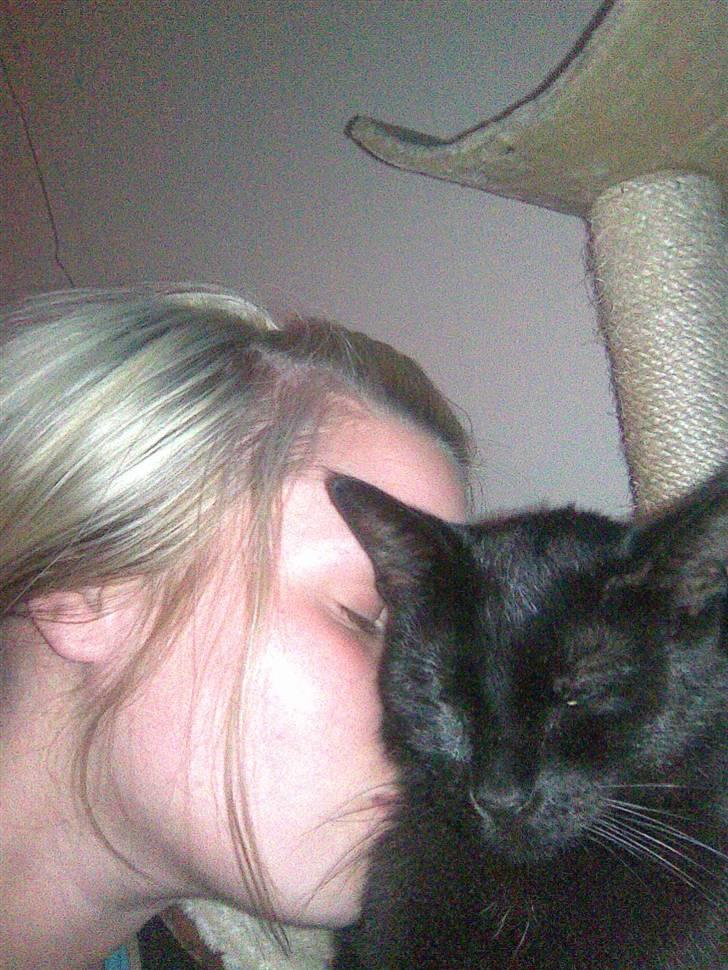 Huskat Malou - Mor nysser mig MEGET! billede 4