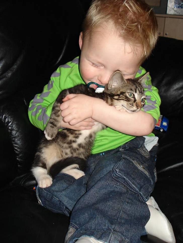 Huskat Emil - Mis og Marcus giver knus billede 7