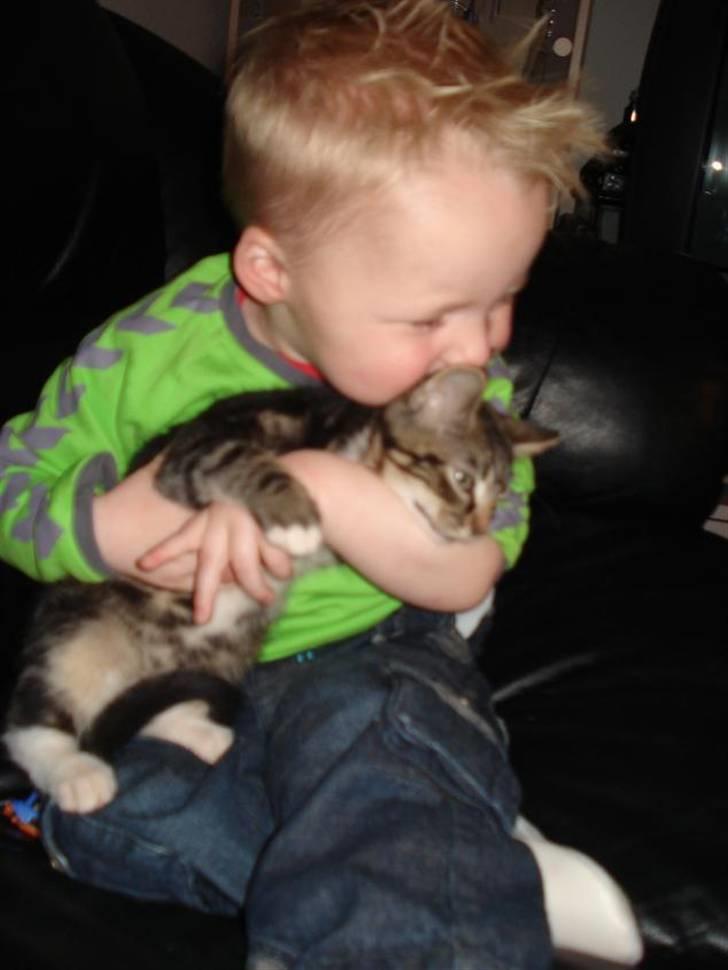 Huskat Emil - Den er såååå sød mor billede 8