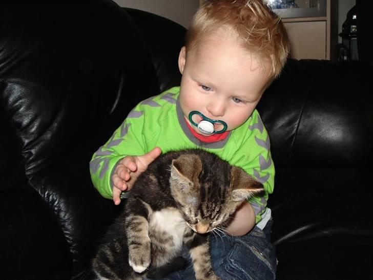 Huskat Emil - Værsgo mor billede 9