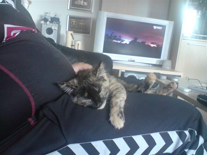 Blanding af racer luna - far og mig hygger billede 6