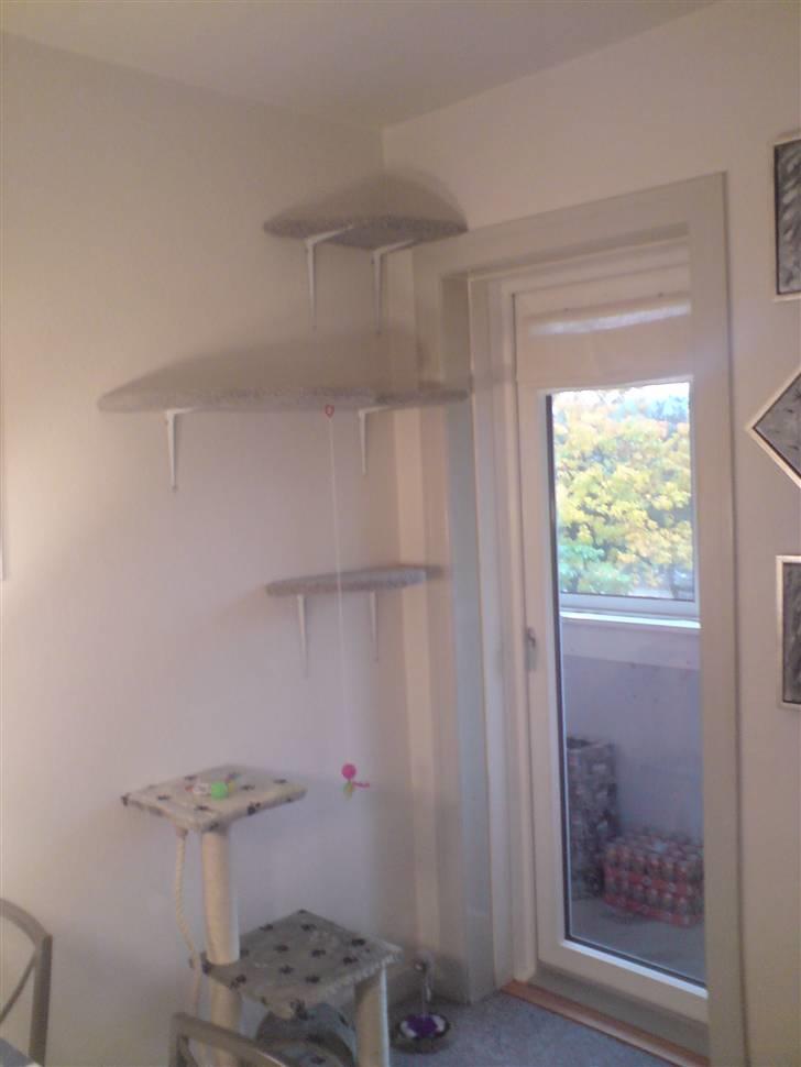 Blanding af racer luna - mit legehjørne som mor og far har lavet til mig billede 7