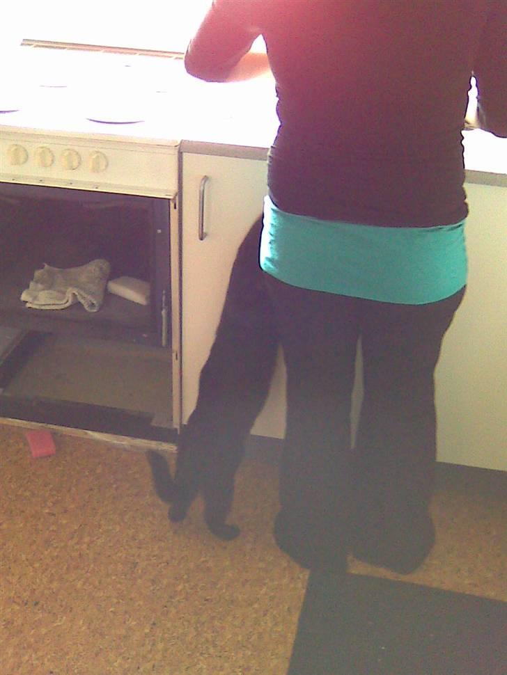 Huskat Malou - uhmm mor! Skal jeg ik smage lidt?? :)  billede 12