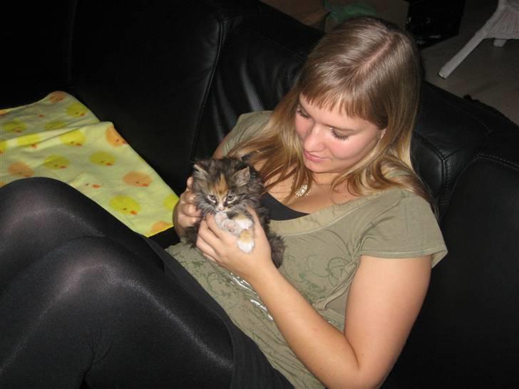 Blanding af racer Mini - Hygger med min mor..  billede 17