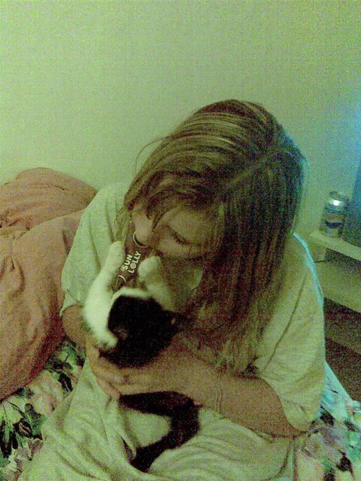 Huskat Sibylle <33 solgt - os <33 snaver dig skat !<3 billede 3