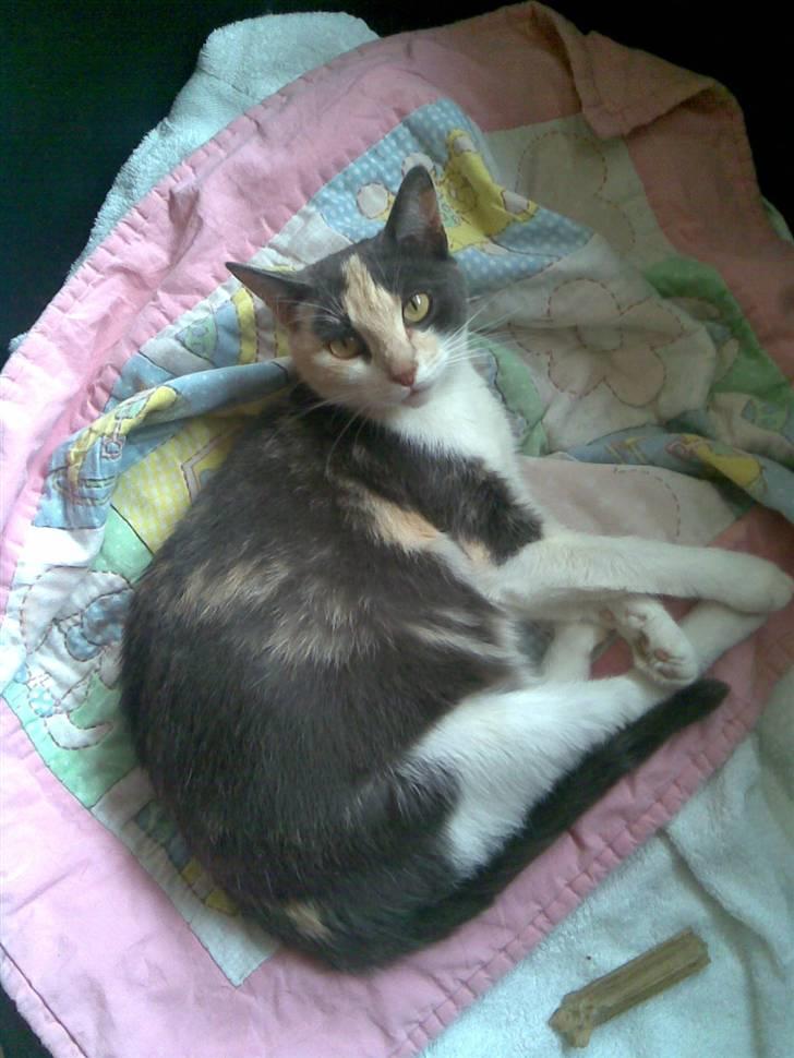 Huskat Sibylle <33 solgt - min mor jeg ælsker dig <3 billede 17