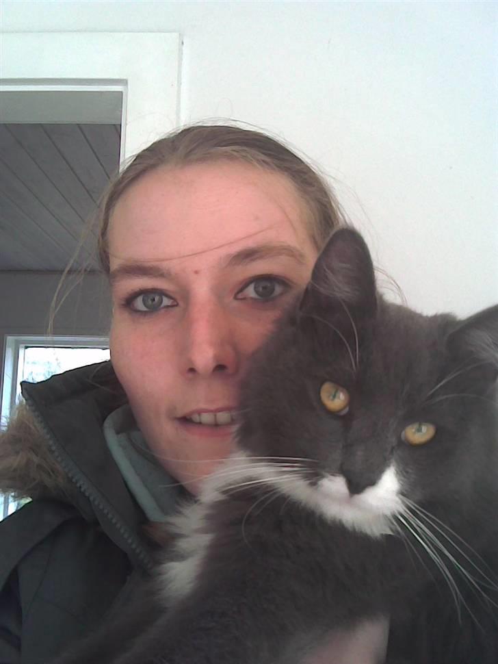 Huskat Trolderik billede 6