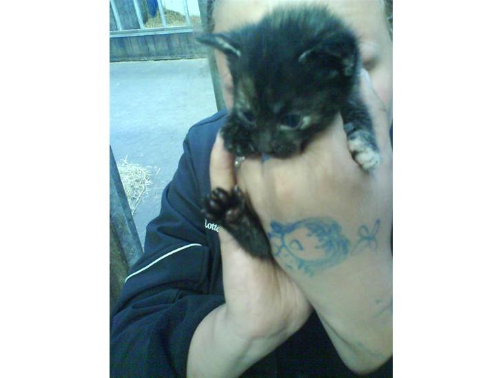 {{currentPhoto.altText}} billede {{currentPhoto.number}}