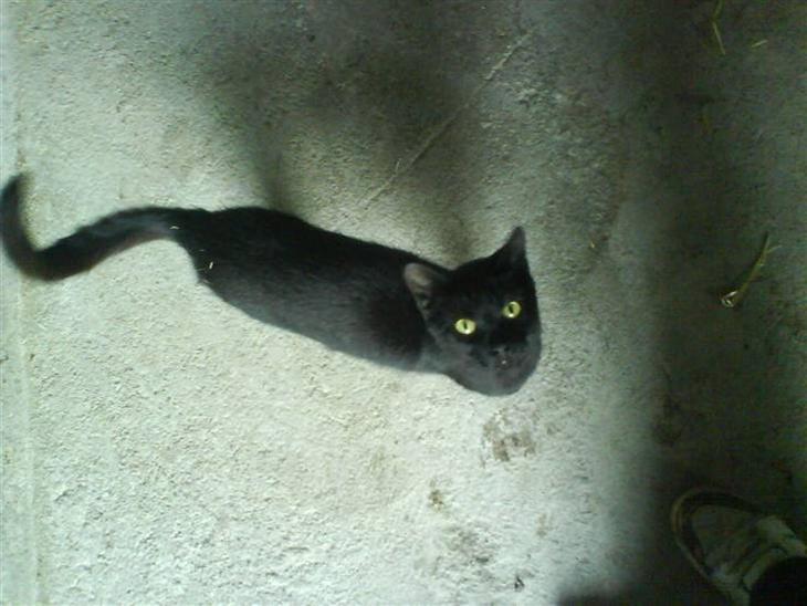 {{currentPhoto.altText}} billede {{currentPhoto.number}}