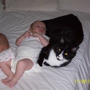 Blanding af racer Tarzan