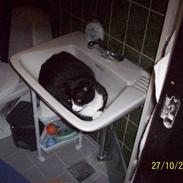 Blanding af racer Tarzan