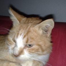 Huskat Benjamin R.I.P