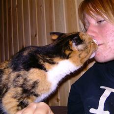 Huskat ~ Miv <3. ~ væk.