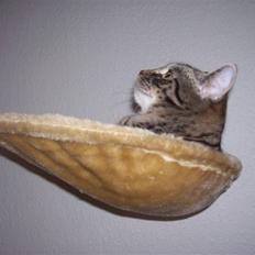 Blanding af racer Tvebakke II