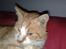 Huskat Benjamin R.I.P