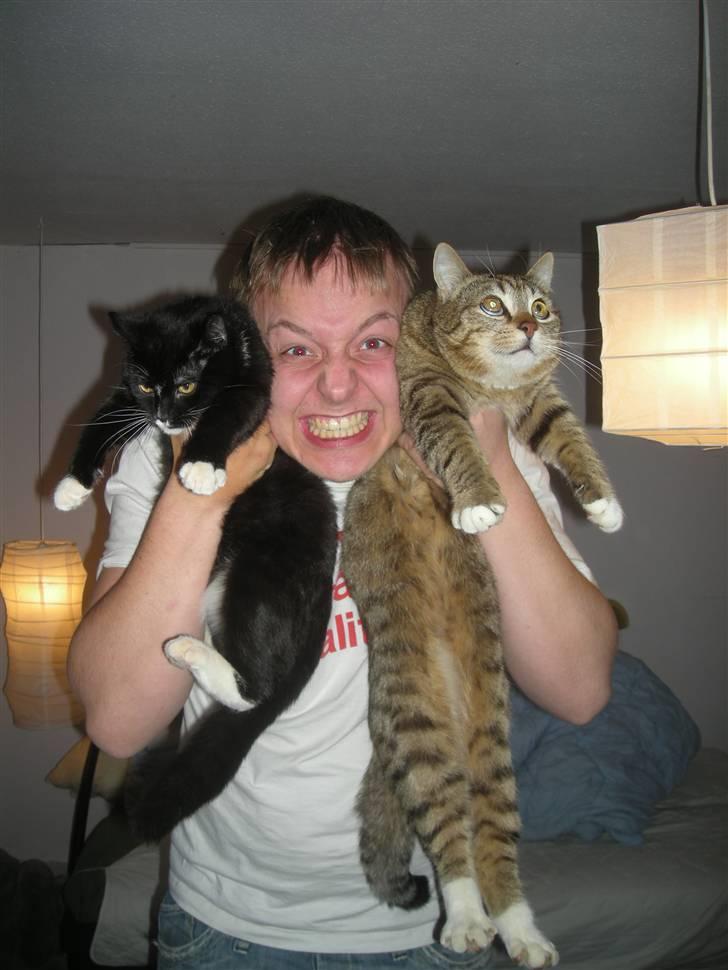 Huskat Sofus billede 5