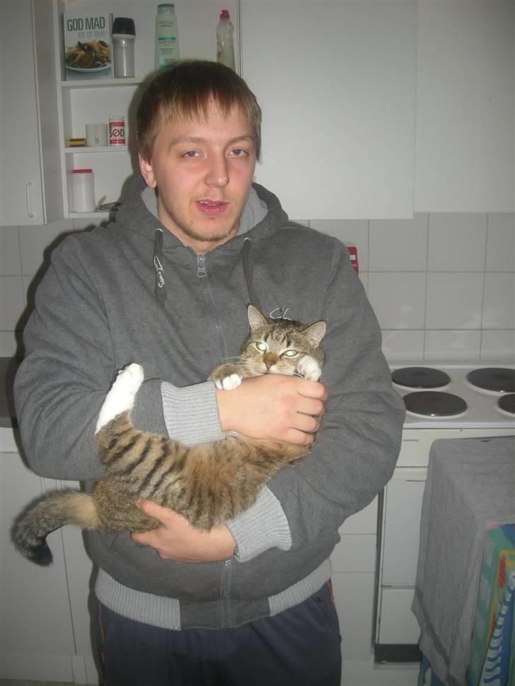 Huskat Sofus billede 9