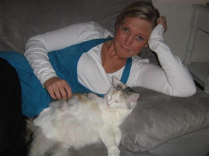 Blanding af racer Alma billede 20