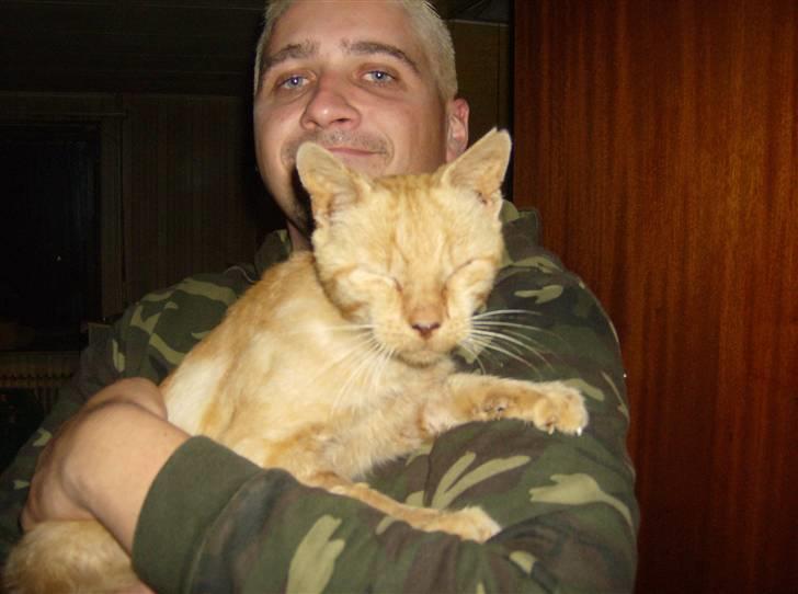 Huskat Teddy billede 1