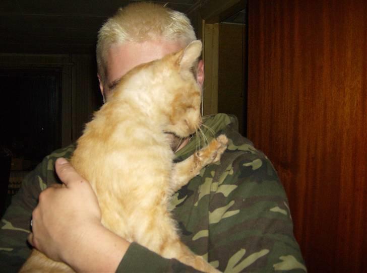 Huskat Teddy billede 2