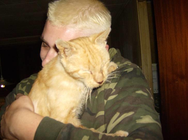 Huskat Teddy billede 3