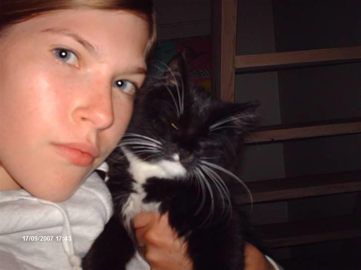 Norsk Skovkat Holger - Cosmo & mig = lykkeligt par.. jeg elsker dig min bby min mis <3´3  billede 11