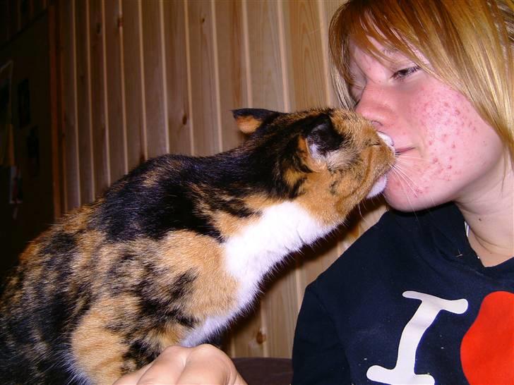 Huskat ~ Miv <3. ~ væk. - Elsker dig <3. :b  Kig i "Tricks" hvad vi gør d;´   O.B.S. Der kommer flere billeder.(: billede 1