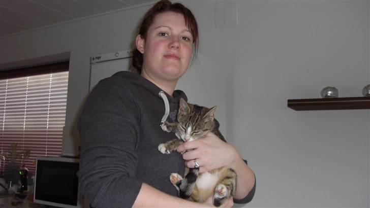 Huskat Lille mis Bor på Fyn nu . billede 5