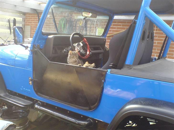 Blanding af racer Cirkeline - baune til venstre og cirkeline til højre, billede 14