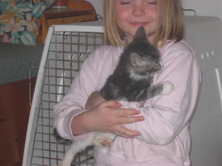 Huskat Lille fis - Vi er gode venner billede 8