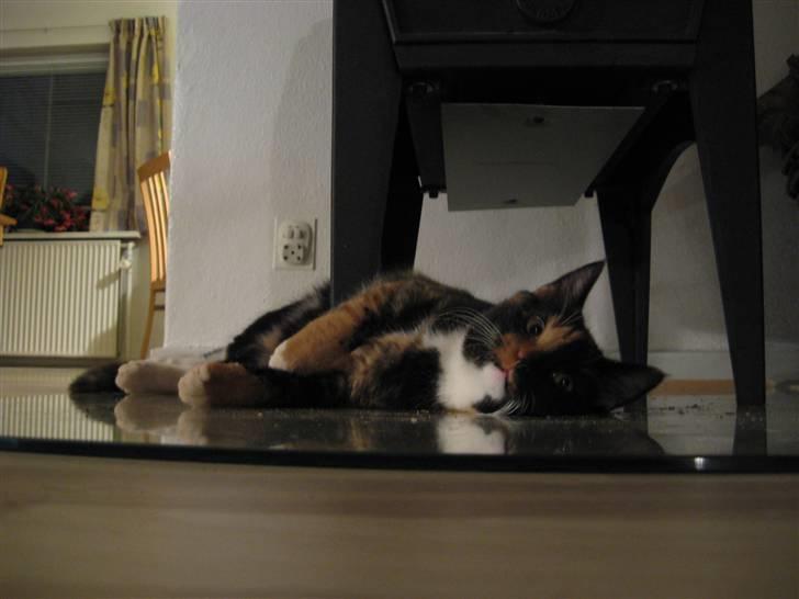 Blanding af racer Malou ¤Væk og borte¤ :'( - jaaaa xD den er varm <3 billede 19