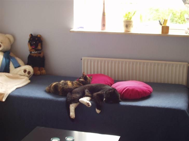 Huskat Lillefod † - Lines seng er dejlig at flyde ud på! :D billede 3