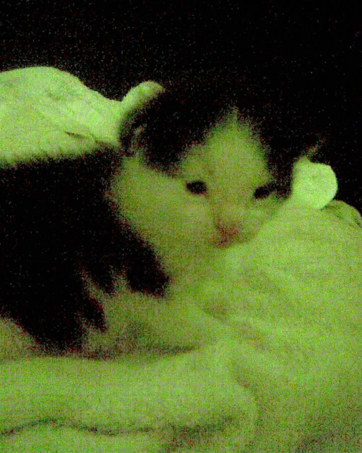 Huskat Sibylle <33 solgt - Så sød :P billede 20