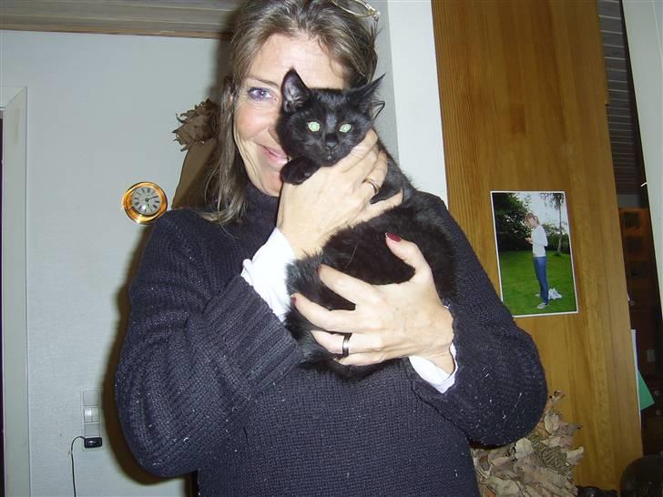 Blanding af racer Buster <3 billede 8