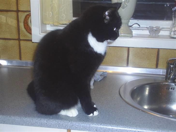 Blanding af racer Batman billede 15