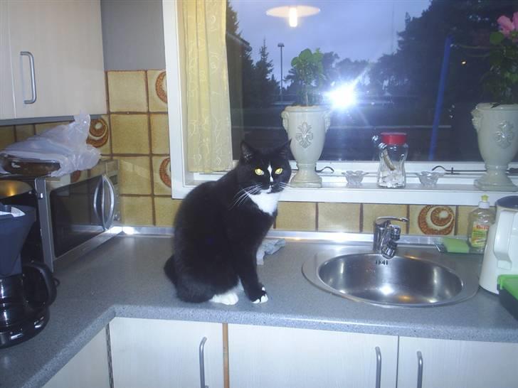 Blanding af racer Batman billede 16