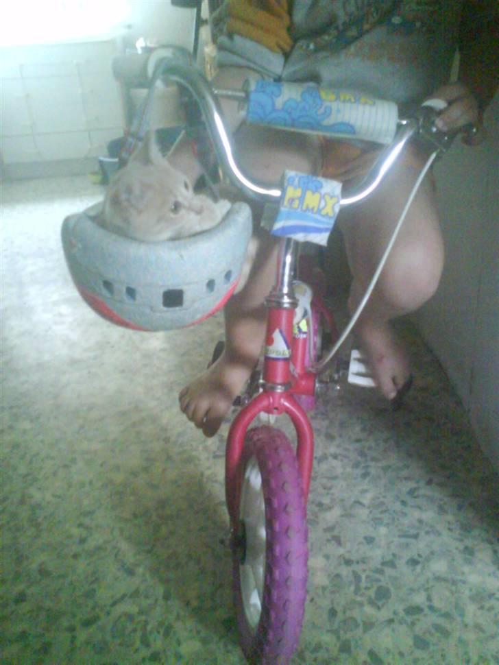 Huskat kirby :) billede 10