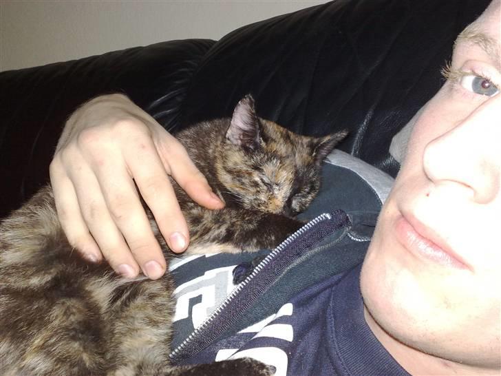 Huskat ,.-´*PEPSI*´-., - puttegris billede 4