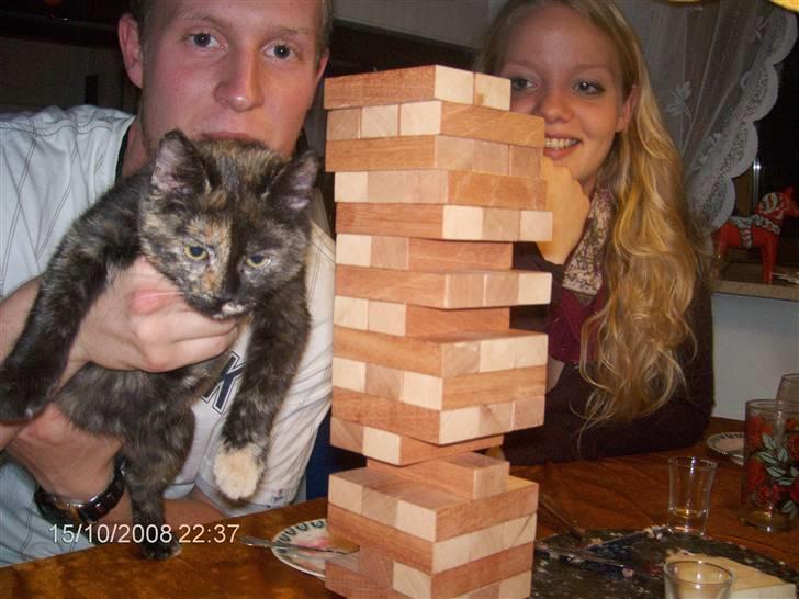 Huskat ,.-´*PEPSI*´-., - Flyvende superkat :D billede 9