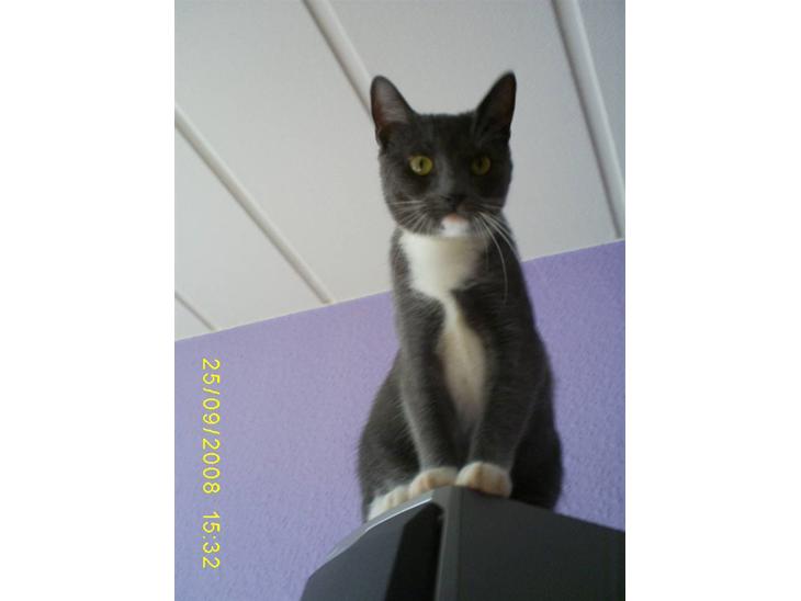 {{currentPhoto.altText}} billede {{currentPhoto.number}}