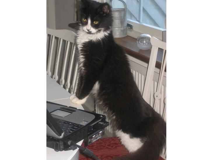 {{currentPhoto.altText}} billede {{currentPhoto.number}}