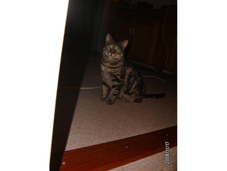 {{currentPhoto.altText}} billede {{currentPhoto.number}}