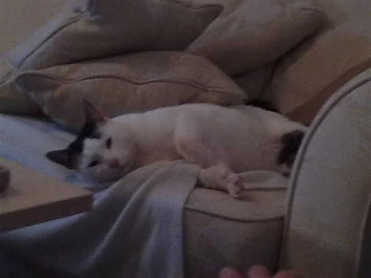 {{currentPhoto.altText}} billede {{currentPhoto.number}}