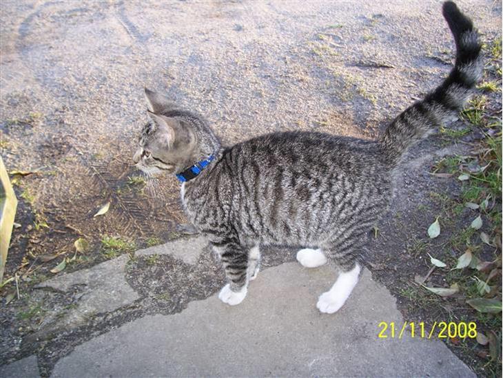 {{currentPhoto.altText}} billede {{currentPhoto.number}}