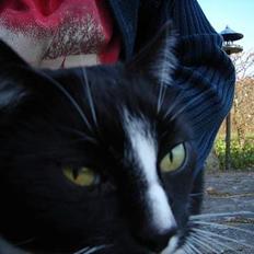 Blanding af racer Russi